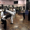 Tartaruga's Birthday Roda (with Mandingueira)