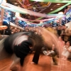 capoeira_latina_2010_25